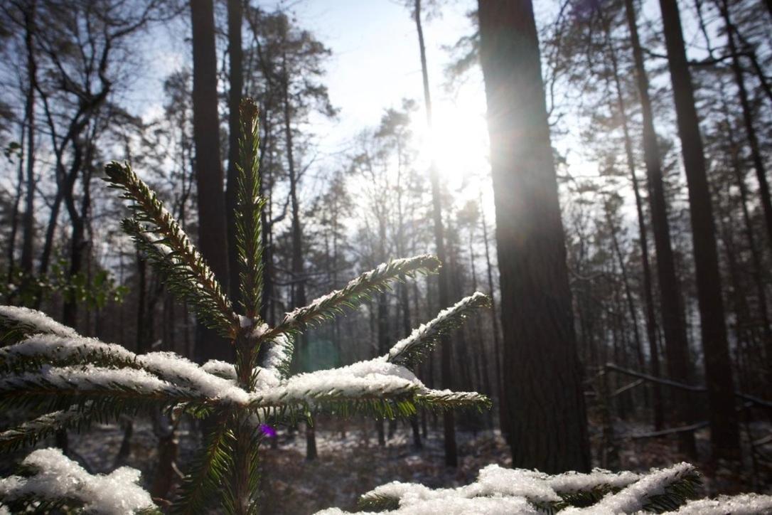Le Harini Lägenhet Manhay Exteriör bild