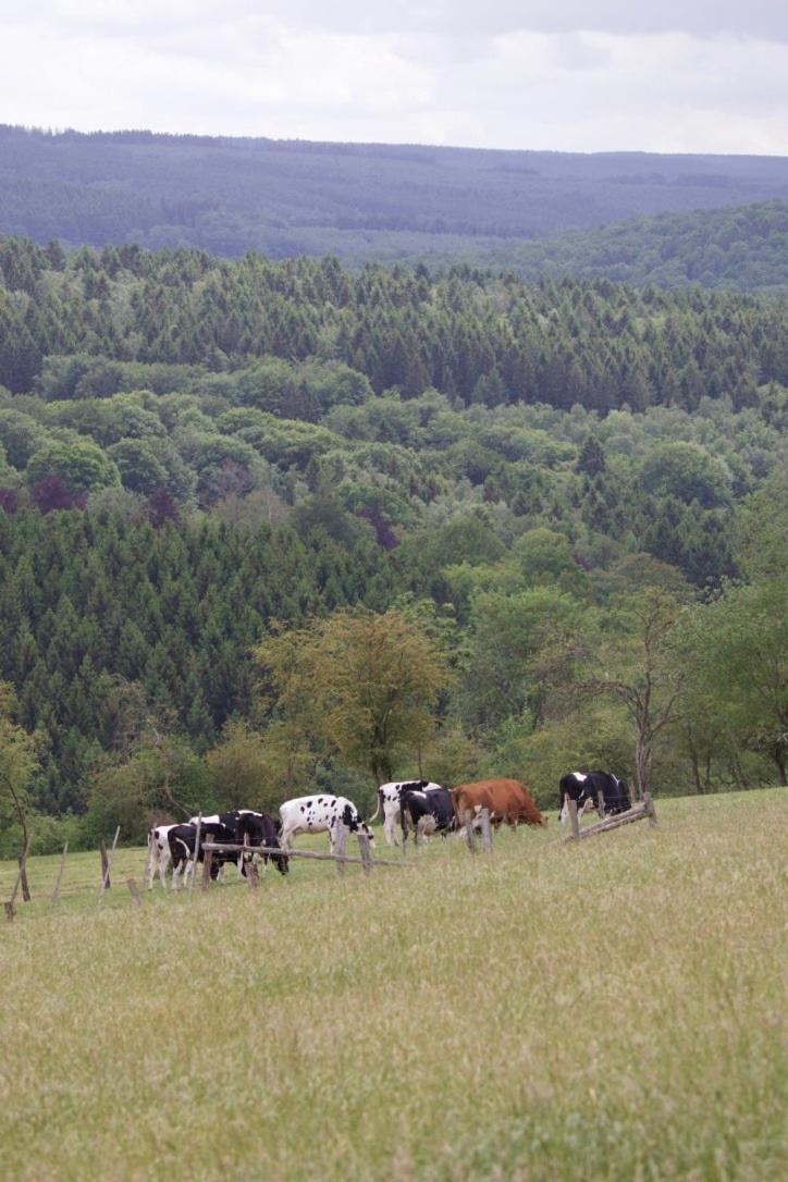 Le Harini Lägenhet Manhay Exteriör bild