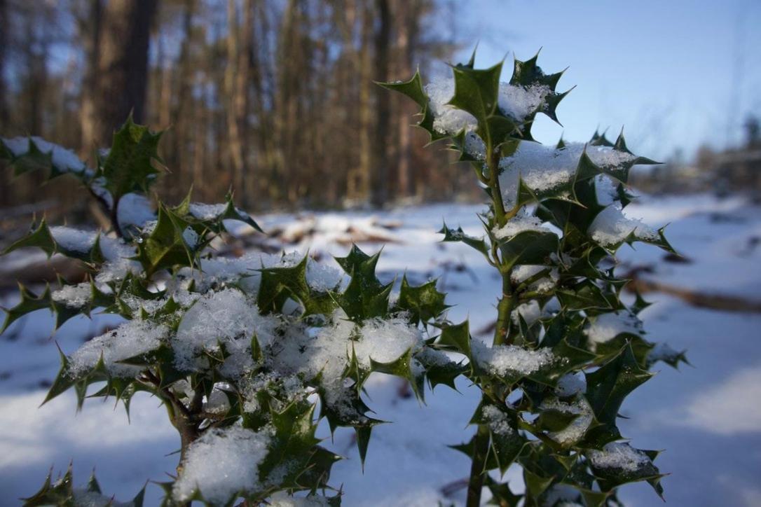 Le Harini Lägenhet Manhay Exteriör bild