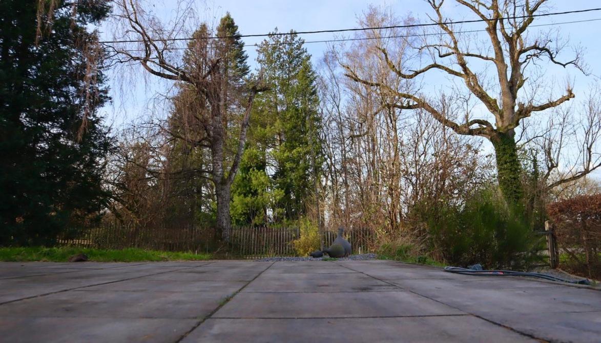 Le Harini Lägenhet Manhay Exteriör bild